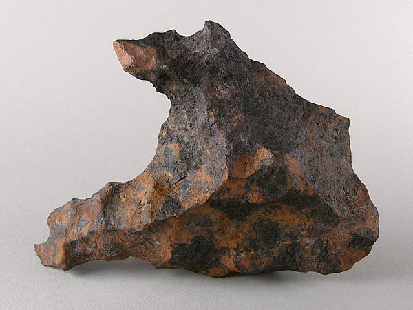 Фрагмент железного метеорита(2,6 гр). Общая масса найденных фрагментов