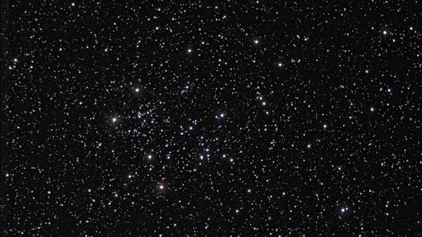 NGC 1746 в созвездии Телец