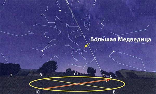 Картинка большой медведицы по временам года