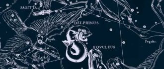 Дельфин, рисунок Яна Гевелия из его атласа созвездий