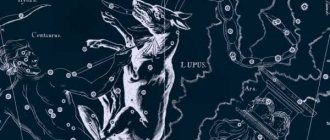 Lupus - Волк