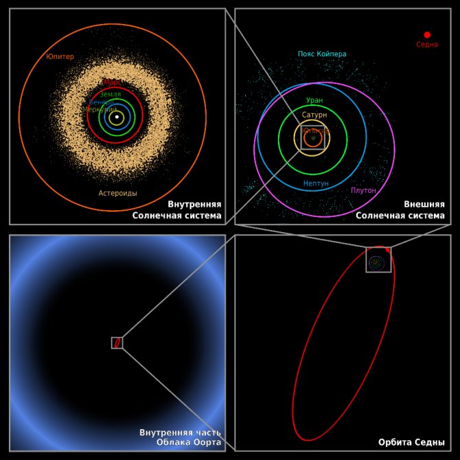 Орбита Седны по сравнению с другими телами системы, поясом Койпера и Облаком Оорта