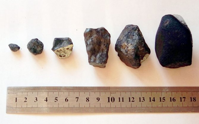 Осколки метеорита, найденные 23 февраля в Еткульском районе экспедицией Челябинского государственного университета