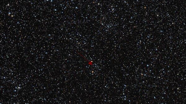 Рассеянное звёздное скопление IC 1442 в созвездии Ящерица