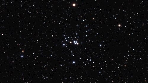 рассеянное звёздное скопление NGC 2281