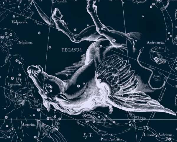 Созвездие Пегас из атласа Яна Гевелия
