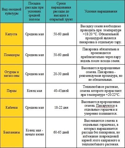 Сроки созревания рассады огородных культур