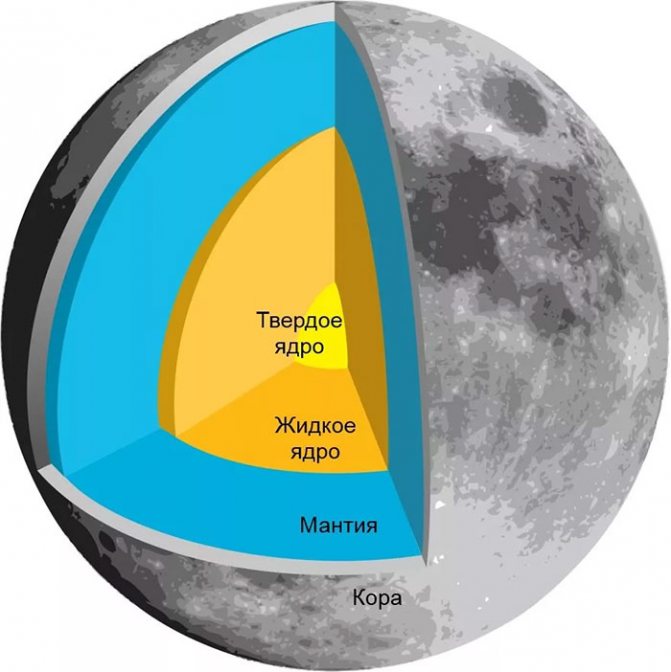 Внутреннее строение Луны принципиально почти не отличается от земного.