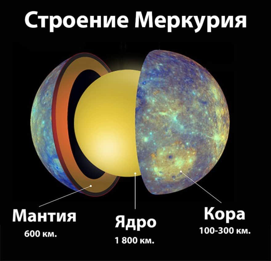 Внутренняя структура Меркурия: кора (100-300 км), мантия (600 км), ядро (1800 км)