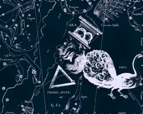 Южный Треугольник, рисунок Яна Гевелия из его атласа созвездий