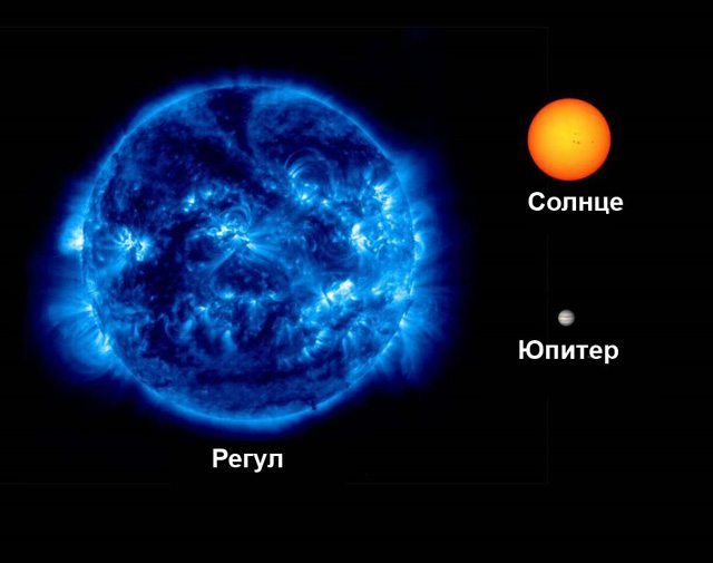 Звезда Регул в сравнении