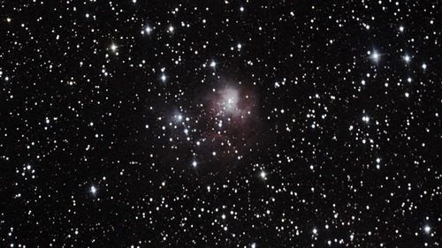 звёздное скопление с туманностью NGC 1931